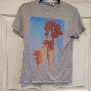 Men's Grey Graphic Hollister Tshirt Size XS